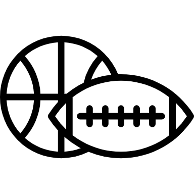 Sporturi icon