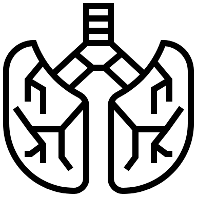 Anatomie icon