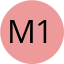 Mentor TEST 1