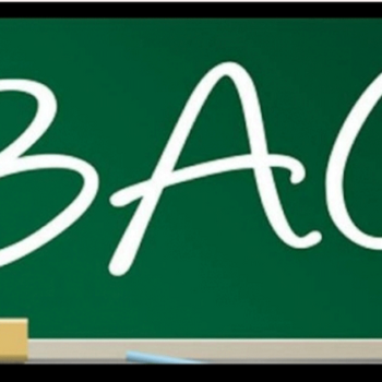 Istorie BAC